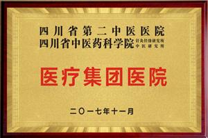 医疗集团医院