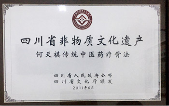 成都市非物质文化遗产